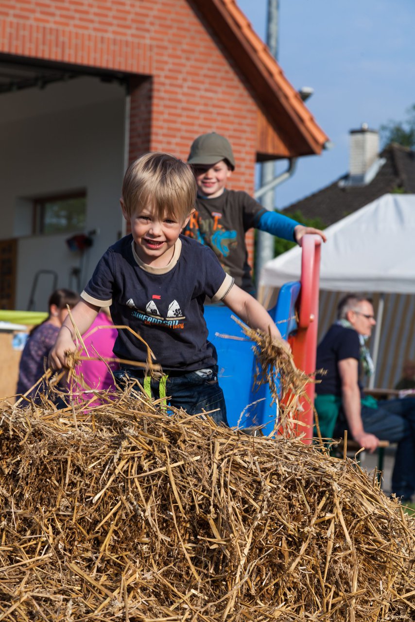 Bild 31 - Wiemersdorfer Maibaum